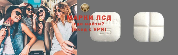 СК Новозыбков