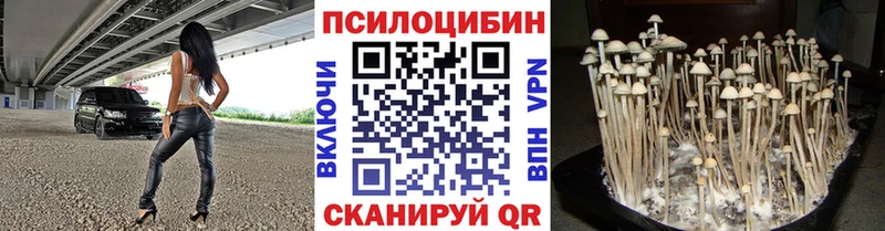 как найти   Сатка  Псилоцибиновые грибы MAGIC MUSHROOMS 