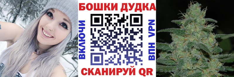 где можно купить   Сатка  Каннабис Bruce Banner 
